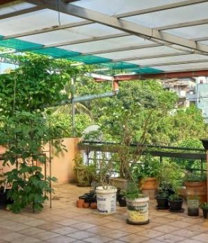 Studio Apartment For Rent